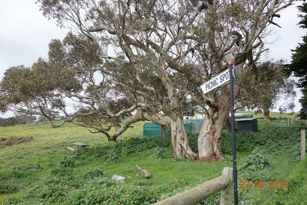 Morella Farmstay 케이프 저비스 외부 사진