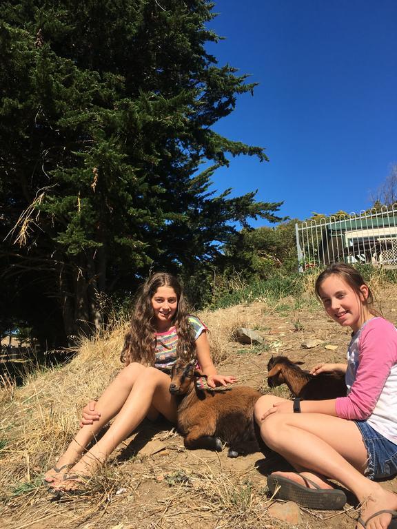 Morella Farmstay 케이프 저비스 외부 사진
