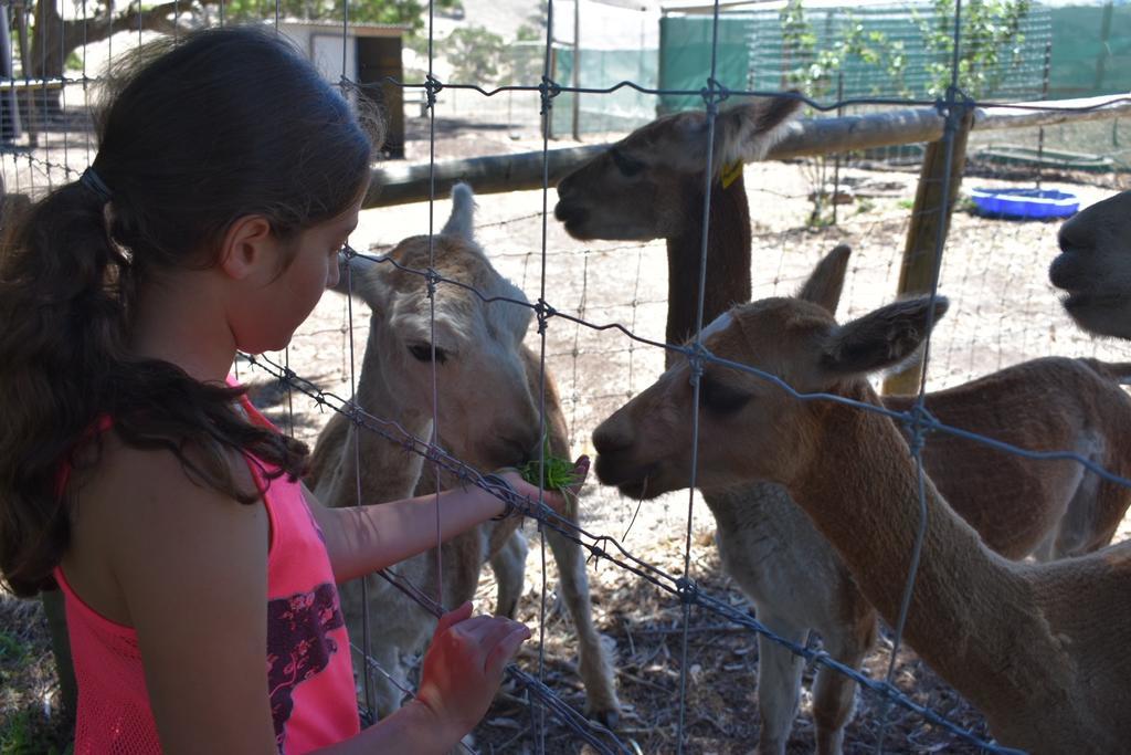Morella Farmstay 케이프 저비스 외부 사진