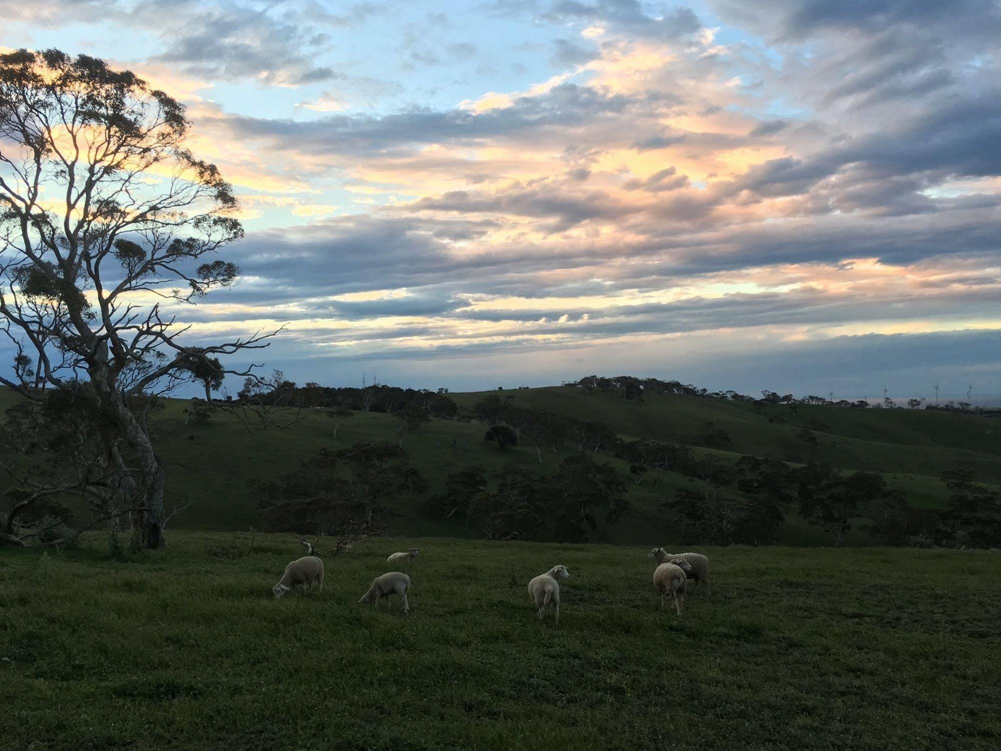 Morella Farmstay 케이프 저비스 외부 사진