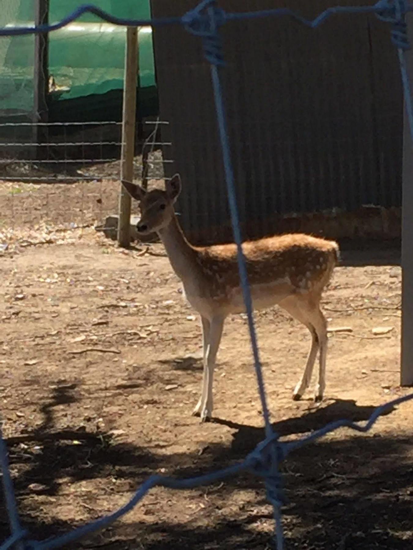 Morella Farmstay 케이프 저비스 외부 사진