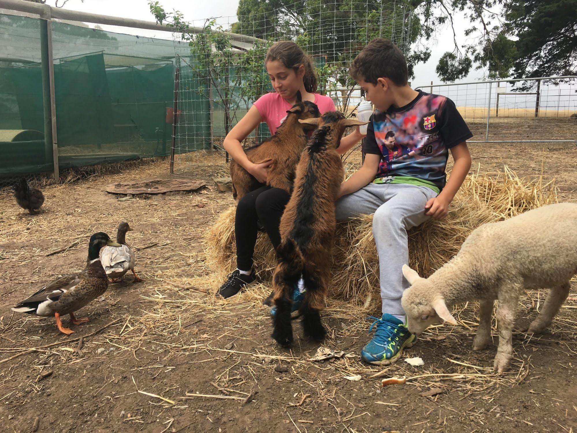 Morella Farmstay 케이프 저비스 외부 사진