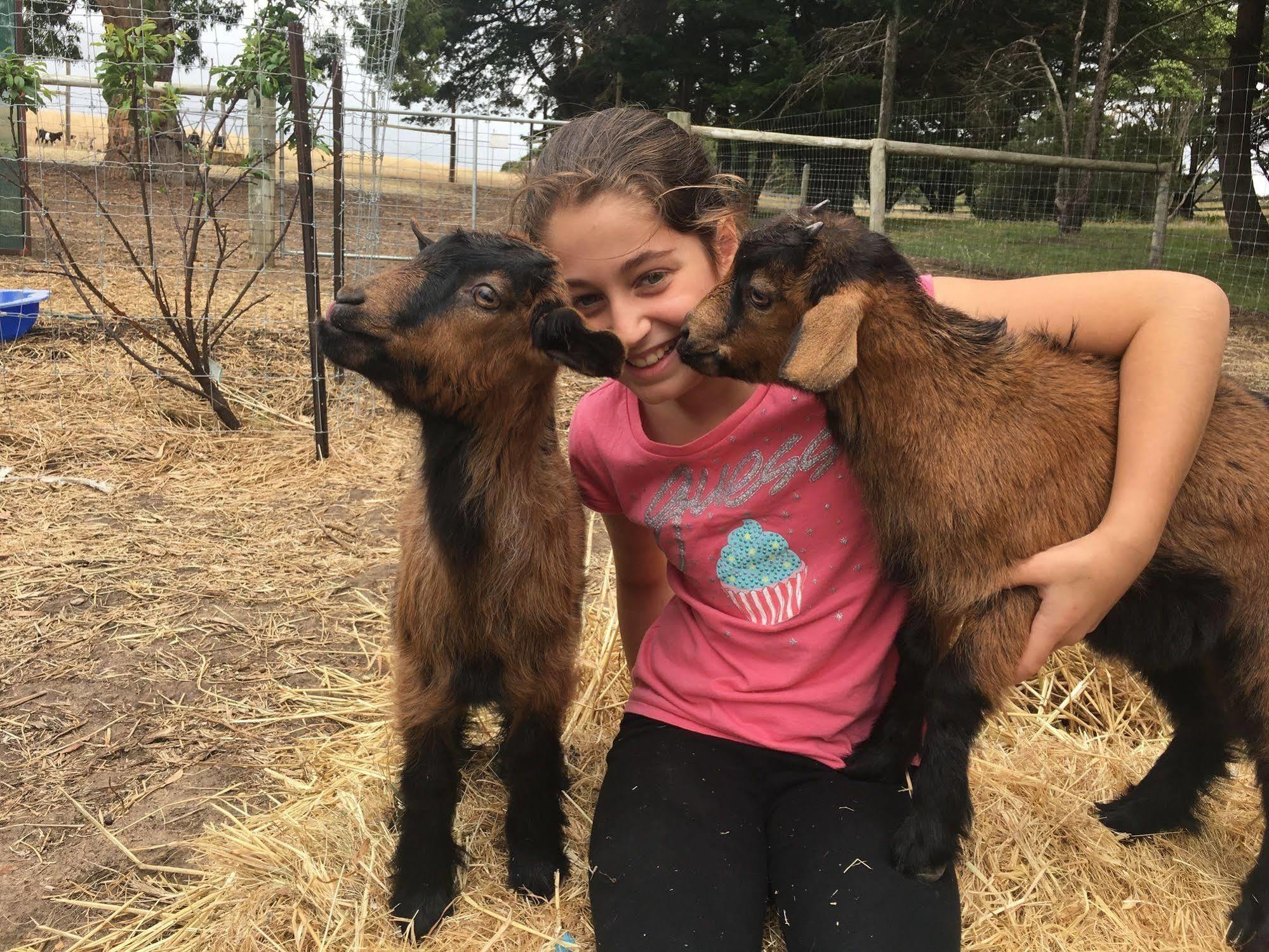 Morella Farmstay 케이프 저비스 외부 사진